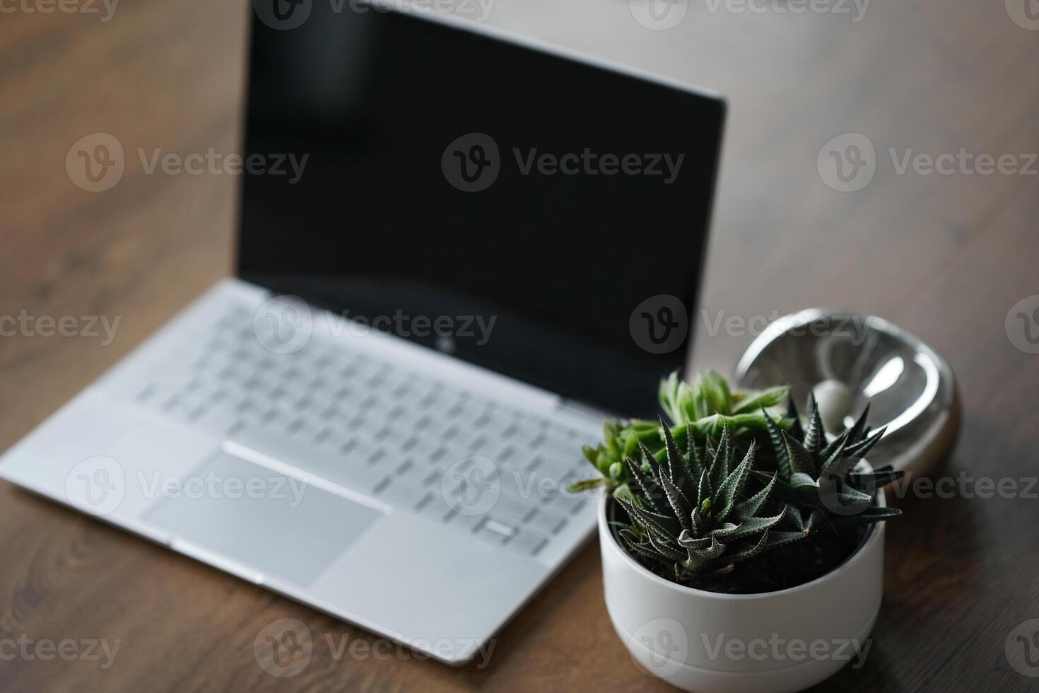 A minimal table top scene of laptop with blank screen, Ficus in white ceramic pot, linen . Modern workplace. Cozy space. photo