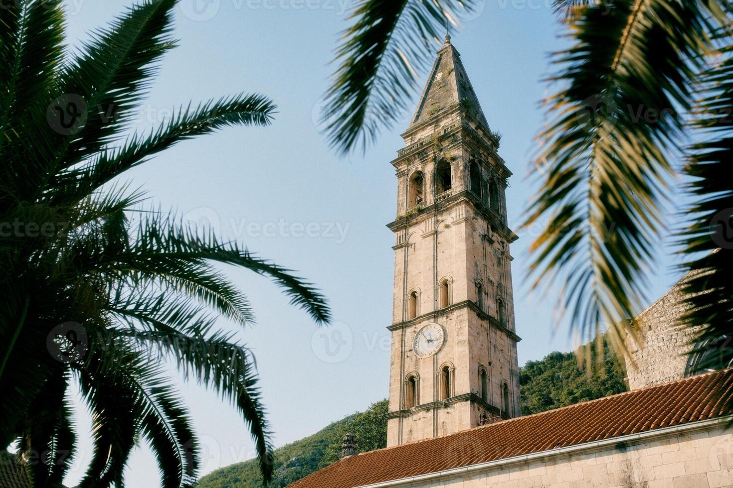 View through palm branches to the high bell tower of the Church of St. Nicholas. Perast, Montenegro photo