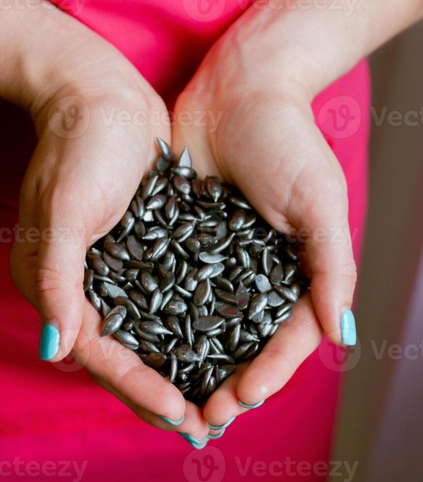 Hard wax beans in palms of cosmetologist's hands on pink background, close up. photo