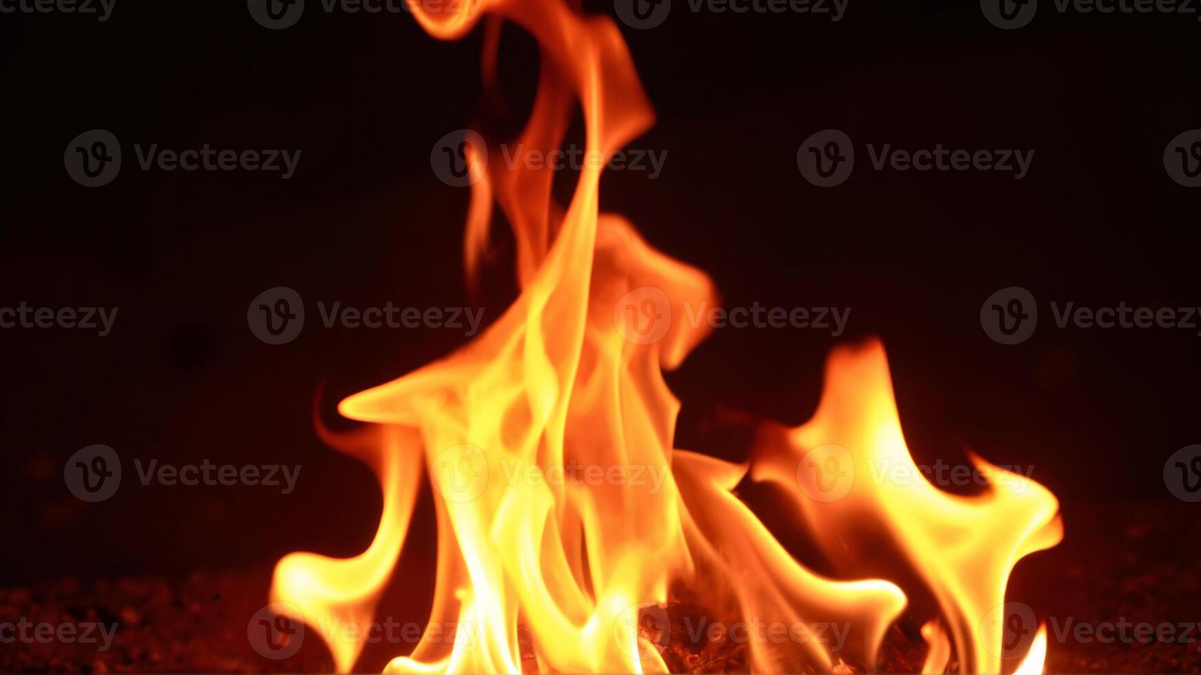 Captivating Flames Dancing Against Darkness photo