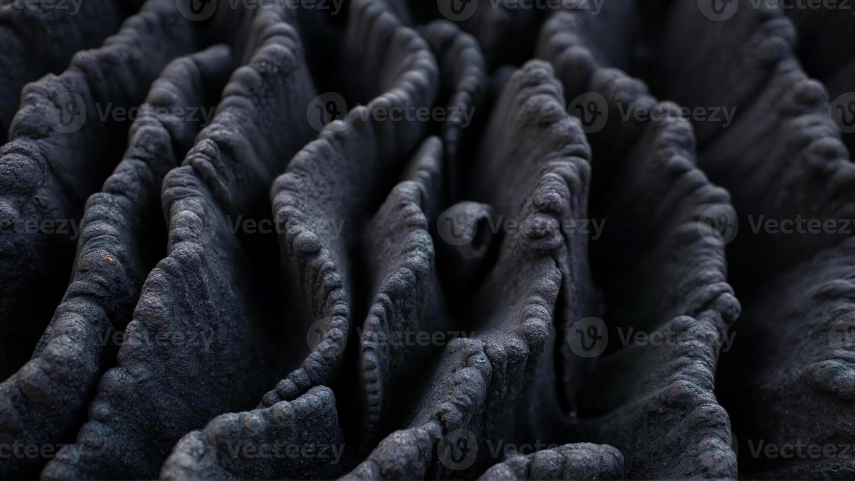 Textured Black Layers Creating an Abstract Appearance photo