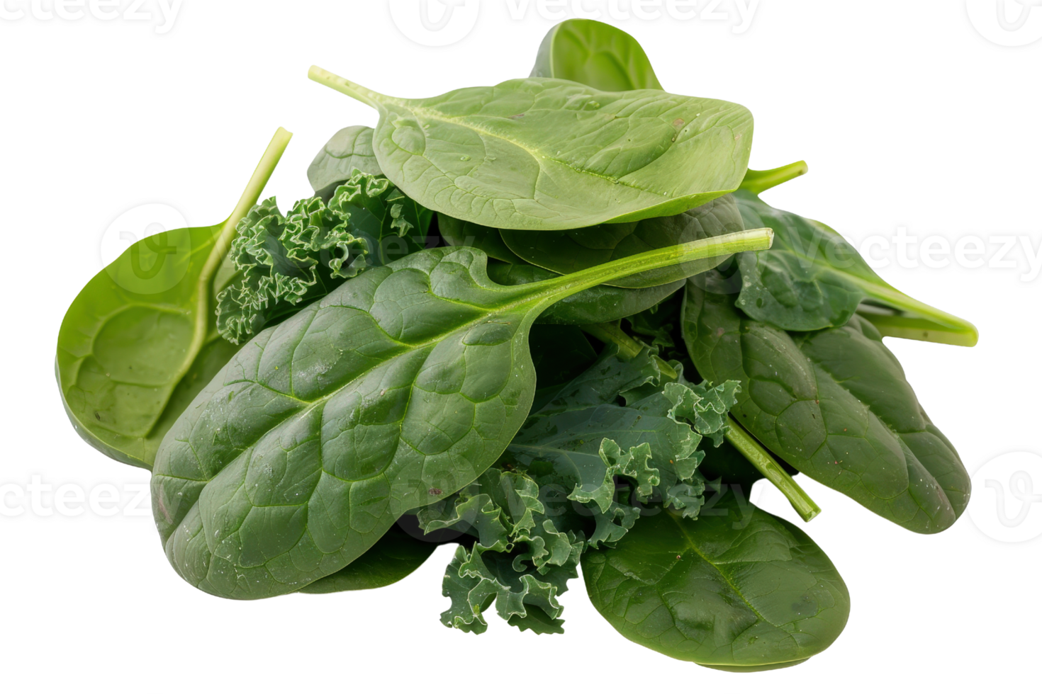 Fresh Green Spinach and Kale Leaves Piled Together on a White Background for Healthy Eating and Nutrition Concepts png