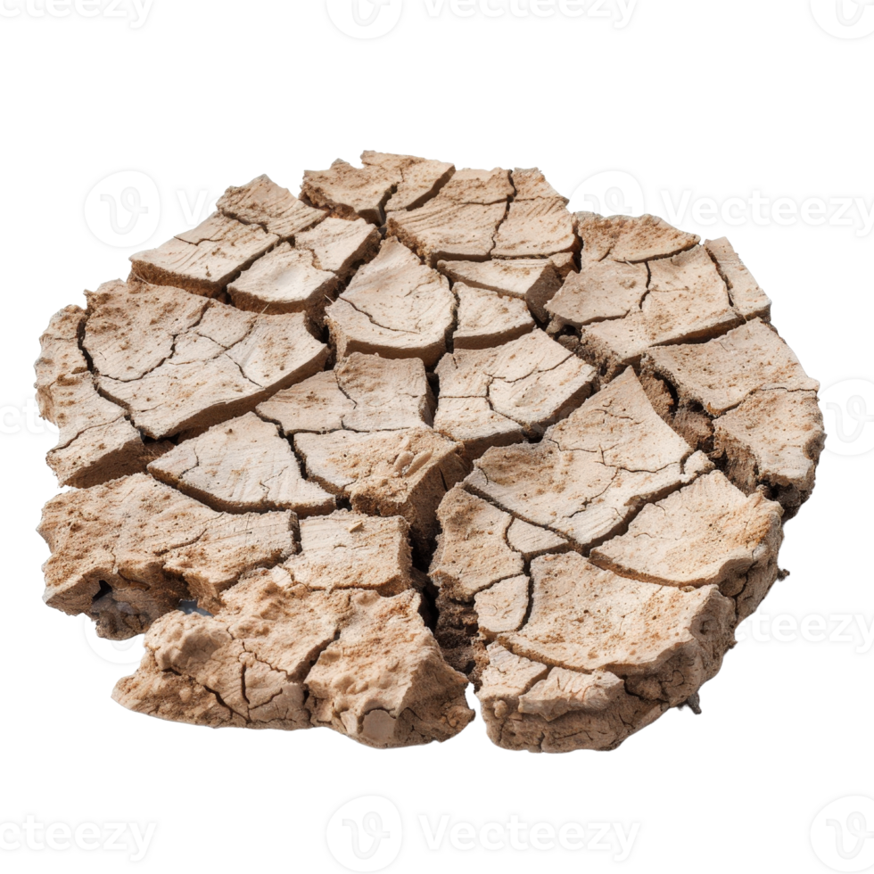 Cracked Dry Soil Surface Showing Drought and Desolation in a Natural Environment with Textural Details png