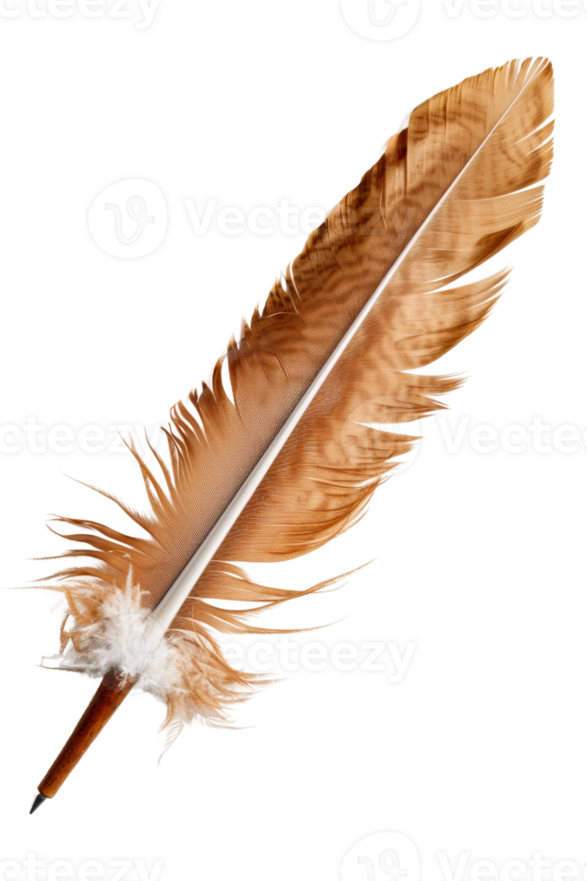 Beautiful Brown Feather Quill Pen with Soft Plumage Ideal for Vintage Writing and Artistic Expressions png