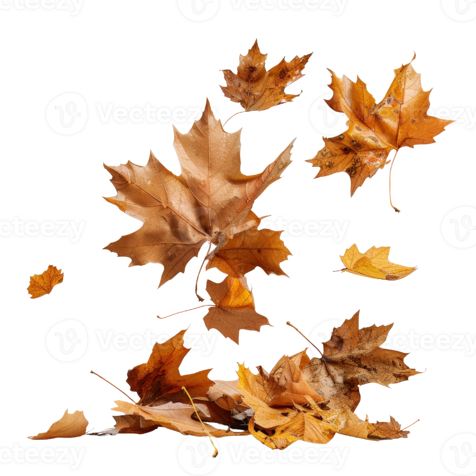 Autumn Leaves Falling from Trees in Various Shades of Brown and Yellow on a Black Background png