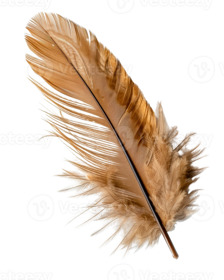 Elegant and Delicate Brown Feather Isolated on a Clean White Background for Artistic and Natural Design Projects png