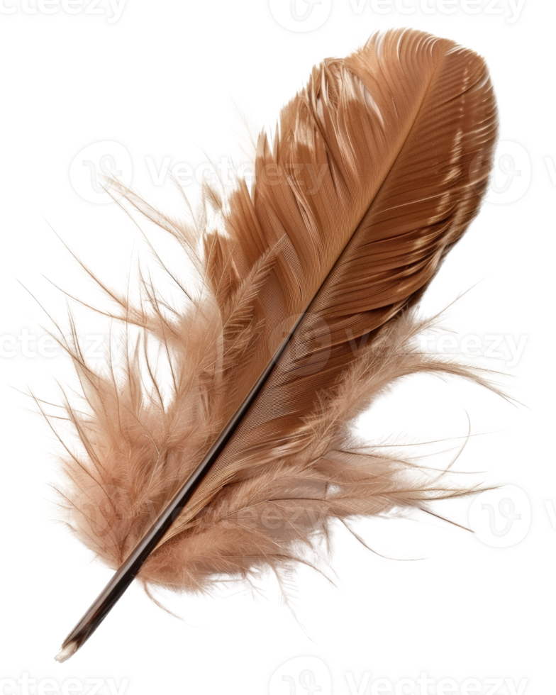 Soft and Delicate Brown Feather Isolated on a White Background, Perfect for Artistic and Nature Related Themes png