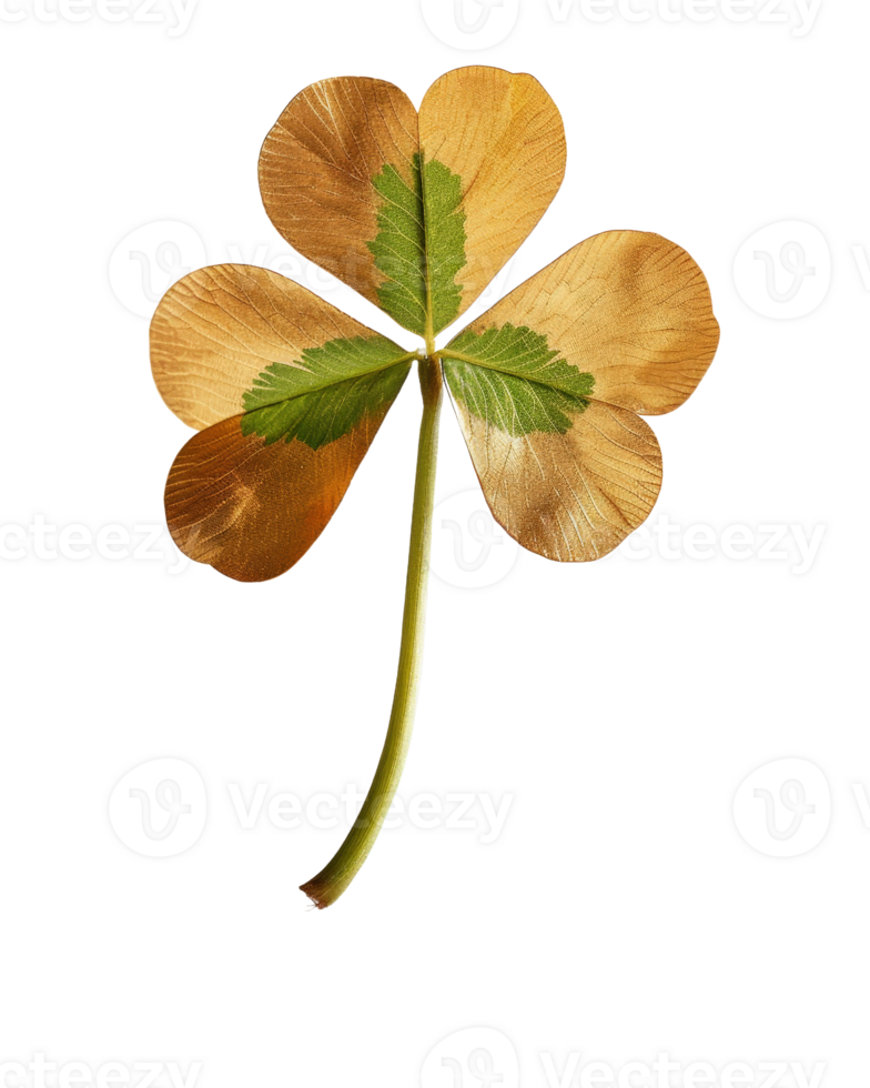 Unique Four-Leaf Clover on Solid Background, Symbol of Luck and Prosperity with Natural Textures and Colors png