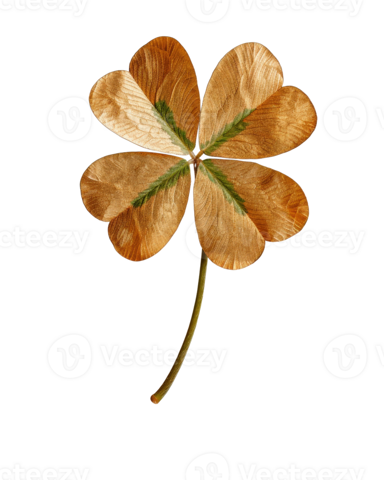Four Leaf Clover Made of Wood with Natural Texture and Green Details, Symbol of Luck and Good Fortune for Celebrations png