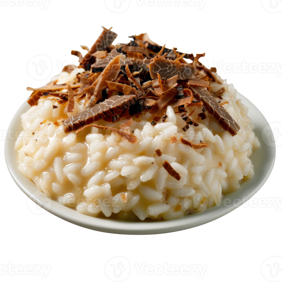 Creamy Risotto with Shavings of Dark Chocolate on a White Plate Garnished with Chocolate Flakes and Cocoa Aroma png