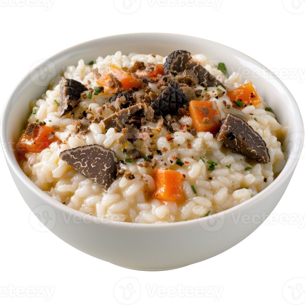 Creamy Risotto with Seasonal Vegetables and Black Truffle Garnish in a White Bowl png