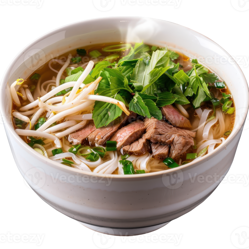 Freshly prepared bowl of steaming beef noodle soup with herbs and vegetables, perfect for a comforting meal png