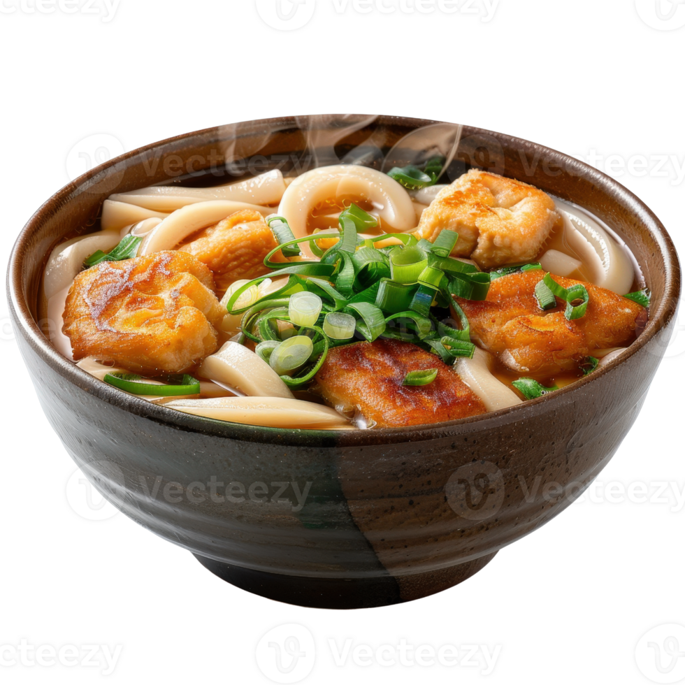 Bowl of hot udon noodles topped with crispy chicken and fresh green onions, steaming and deliciously inviting png