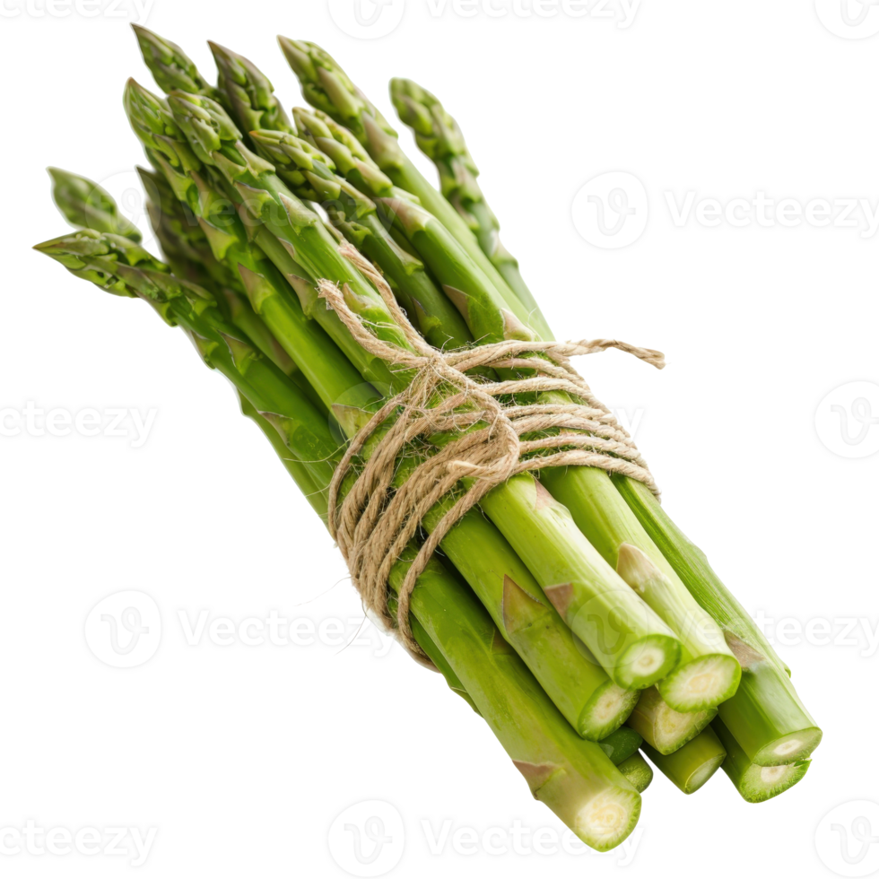 Fresh Green Asparagus Bundle Tied with Twine on White Background for Healthy Cooking and Culinary Use png