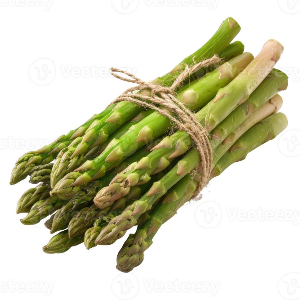 Freshly Harvested Green Asparagus Bunch Tied with Twine Ready for Cooking and Healthy Meal Preparation png