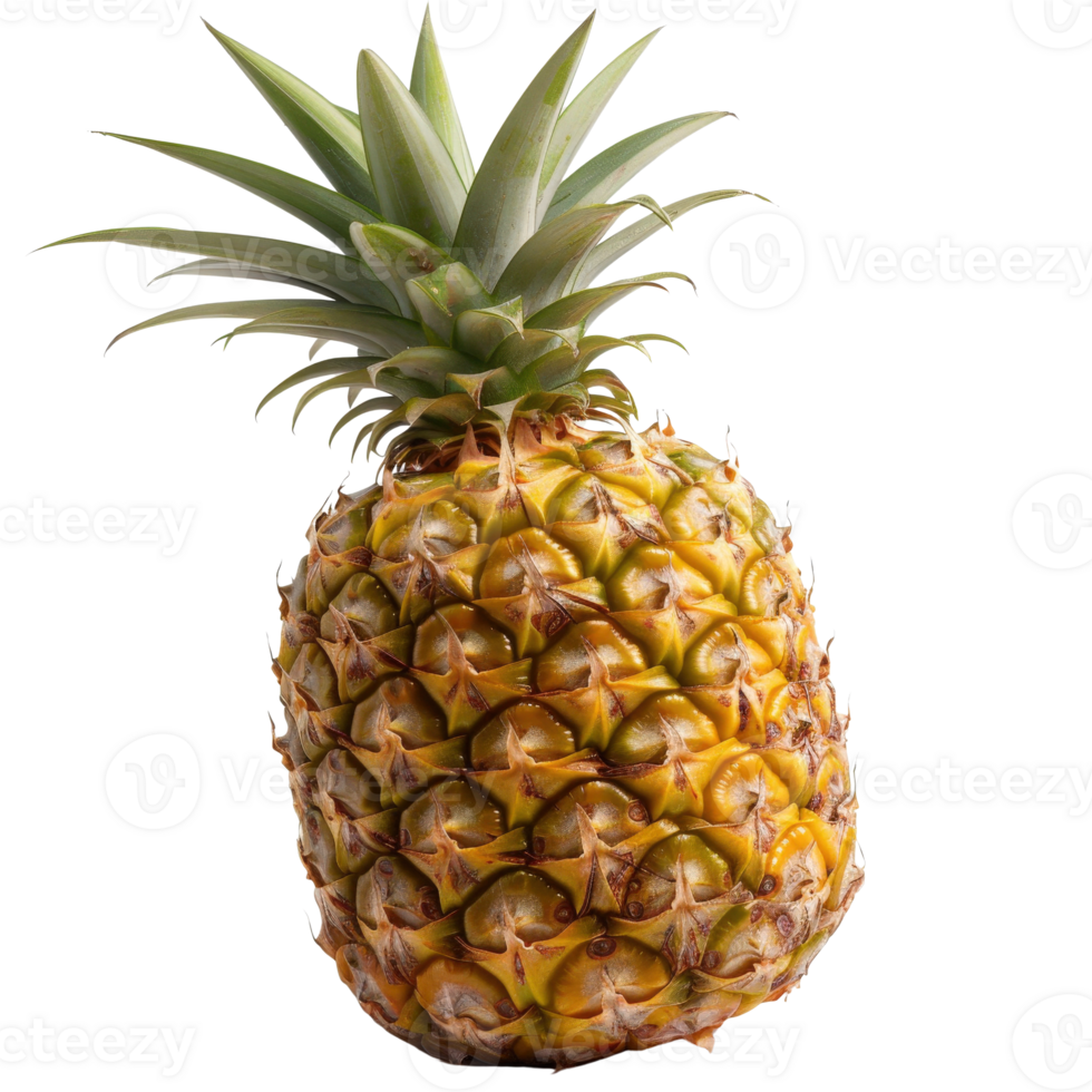 Fresh Pineapple with Green Leaves on White Background, Tropical Fruit for Healthy Eating and Cooking Recipes png