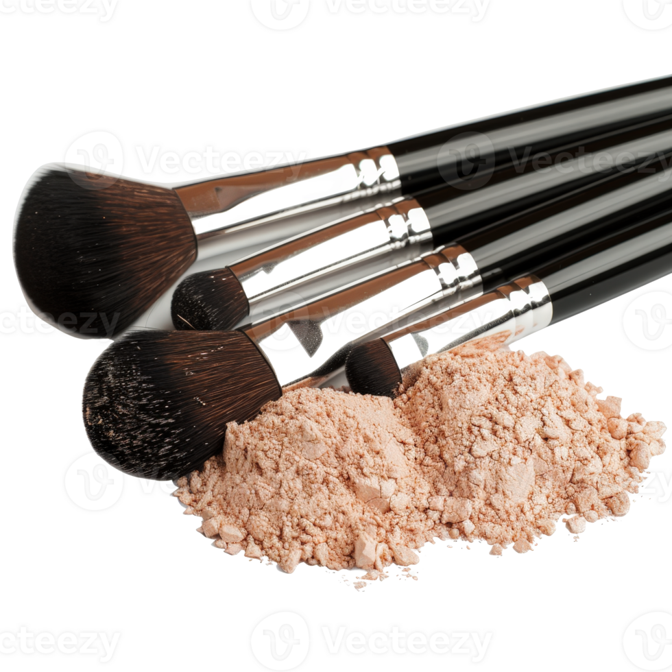 Professional Makeup Brushes with Powder Pile Isolated on White Background for Beauty Applications png