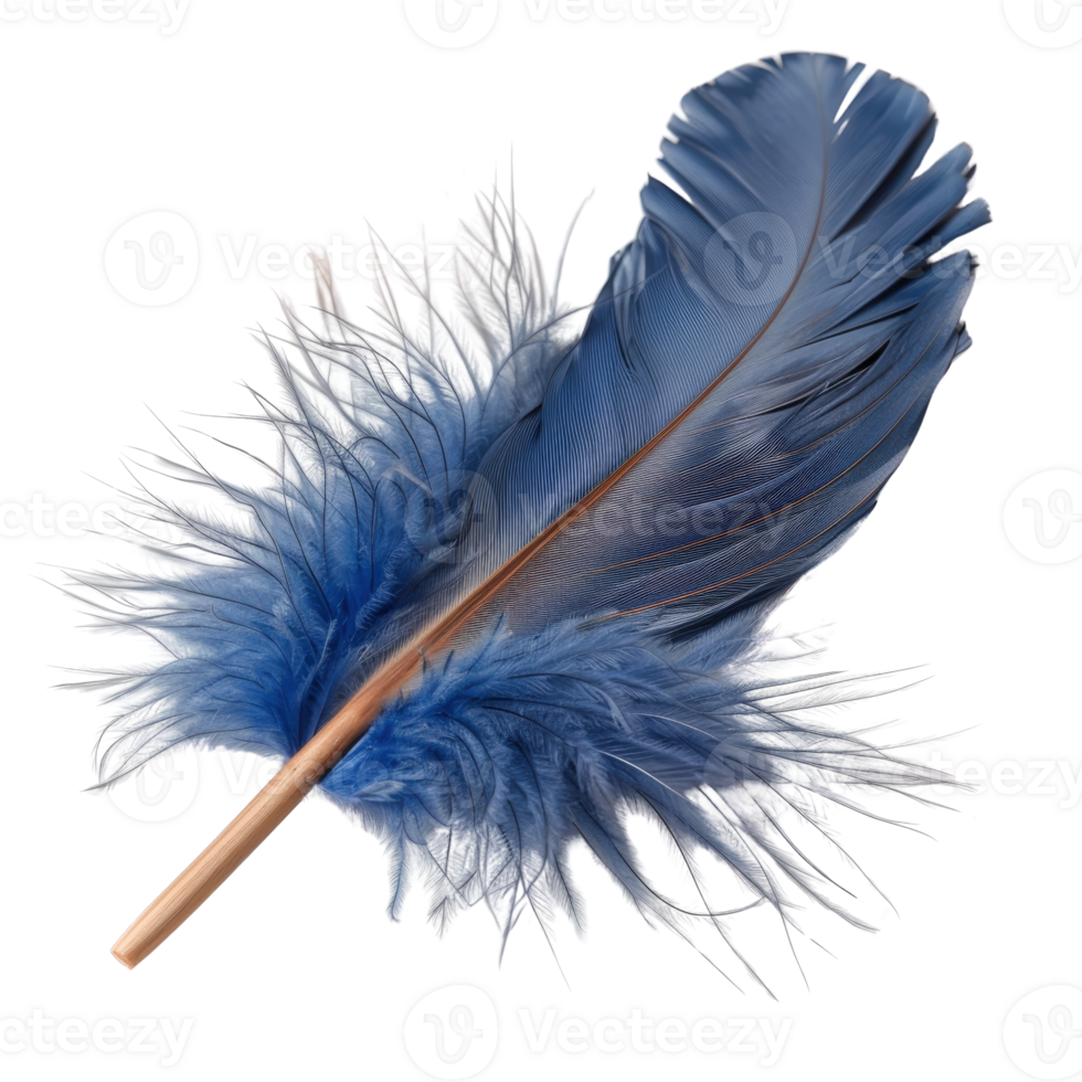 Elegant Blue Feather with Delicate Texture and Fluffy Appearance on White Background png