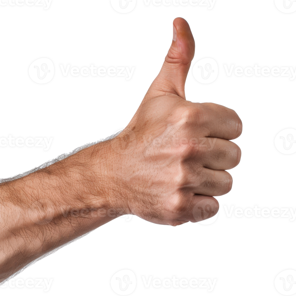 Positive Gesture of Approval with Hand Sign Close-Up on Isolated White Background png
