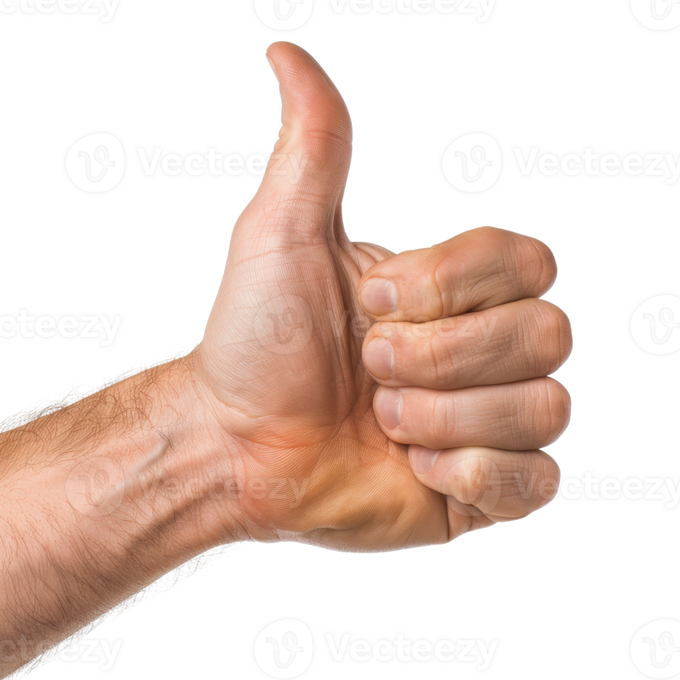 Positive Gesture of Approval with Raised Thumbs Up Hand Sign Isolated on White Background png