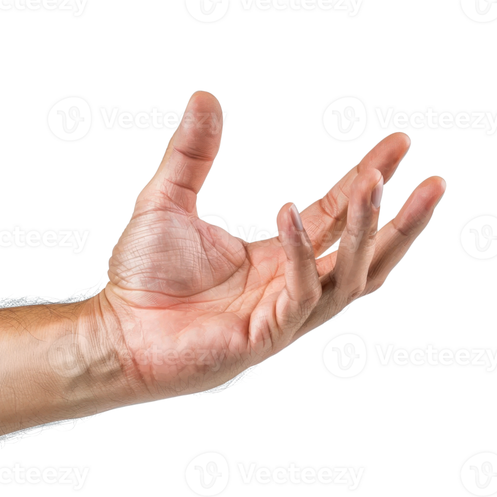 Close-Up of a Right Human Hand Reaching Out Palm Up in Isolated White Background png