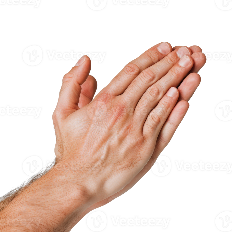 Hands Together in a Gesture of Prayer and Gratitude on a Transparent Background png