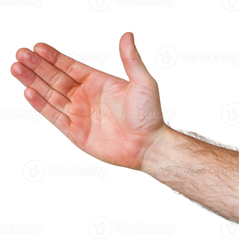 Open Hand Gesture Signifying Welcome or Invitation on Isolated Background png