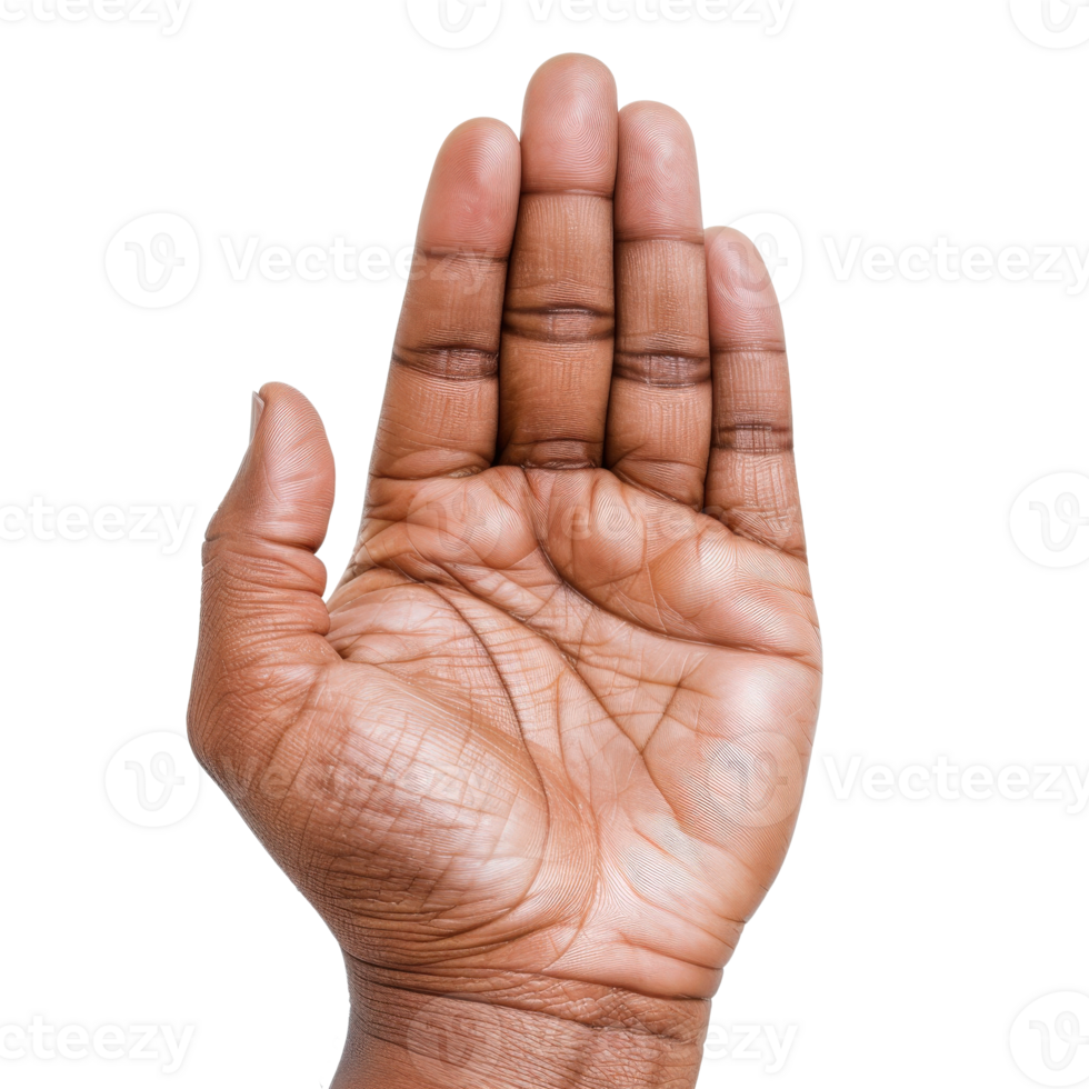 Open Hand Gesture Symbolizing Stop, Pause, or Request for Attention in Diverse Contexts png
