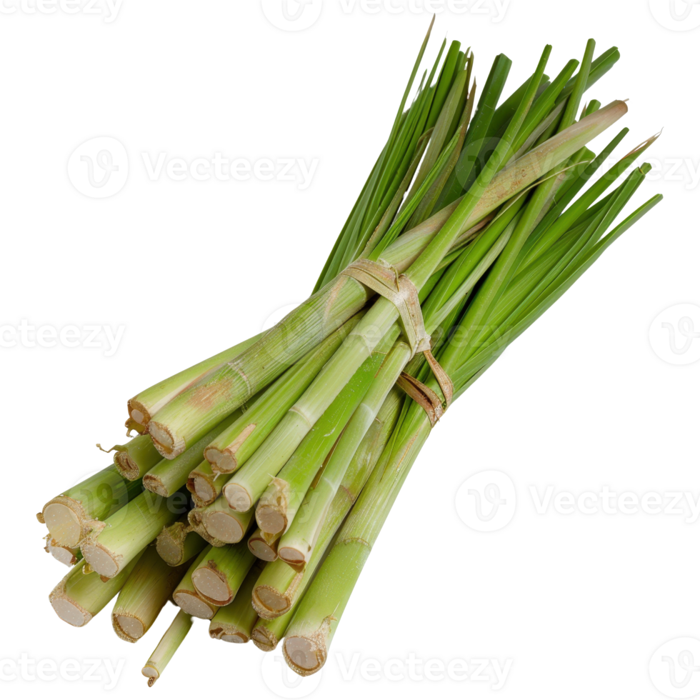 Fresh Lemongrass Bundle with Green Stalks for Culinary and Aromatic Uses in Cooking png