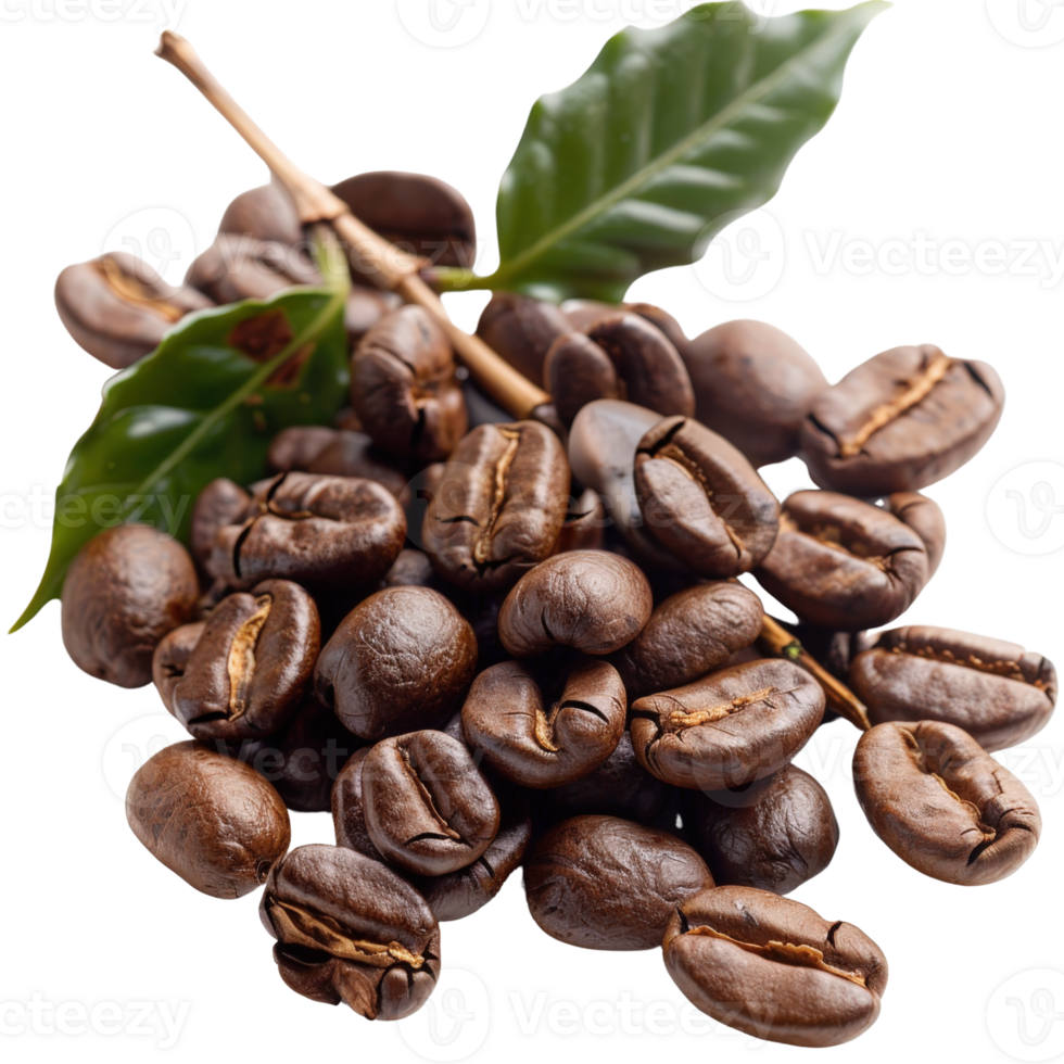 Freshly Roasted Coffee Beans with Green Coffee Leaves on White Background for Culinary Use png