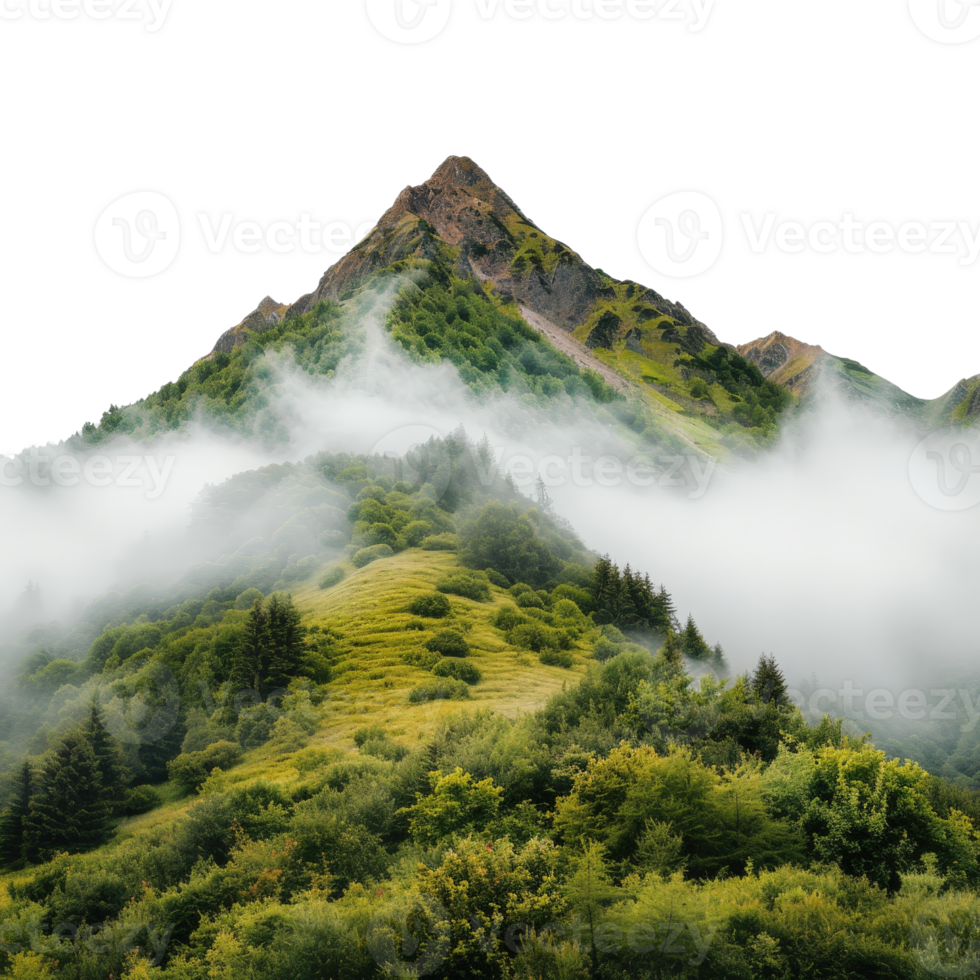 Majestic Mountain Landscape with Lush Greenery and Mystical Fog Covering the Hills png