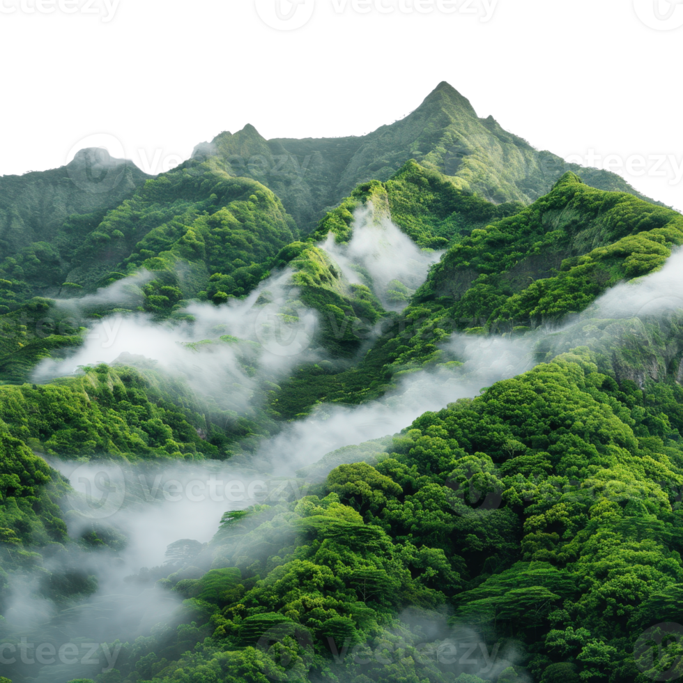Lush Green Mountains Surrounded by Mist and Fog in a Serene Natural Landscape Setting png