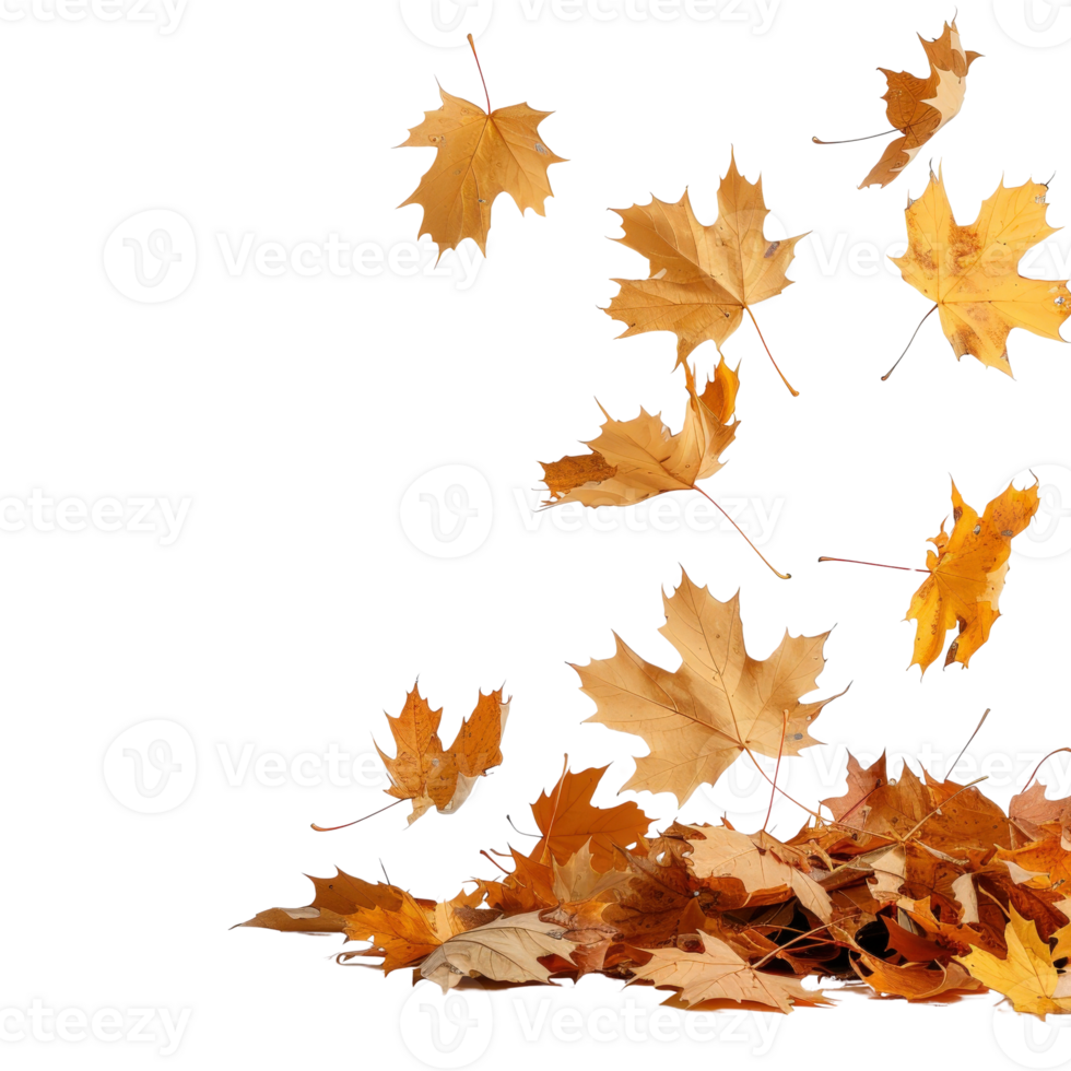 Colorful Autumn Leaves Falling Gently in a Serene Natural Setting Capturing Seasonal Beauty png