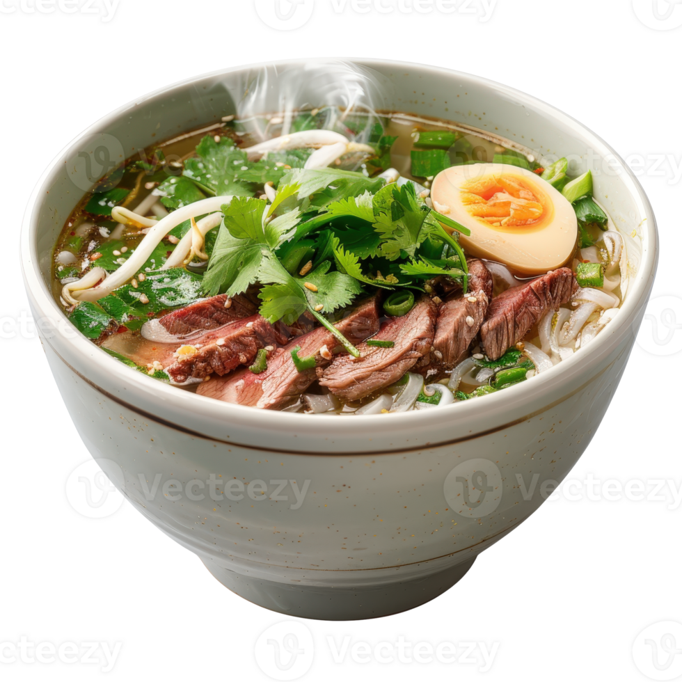Delicious steaming bowl of beef noodle soup with fresh herbs and soft-boiled egg garnish png