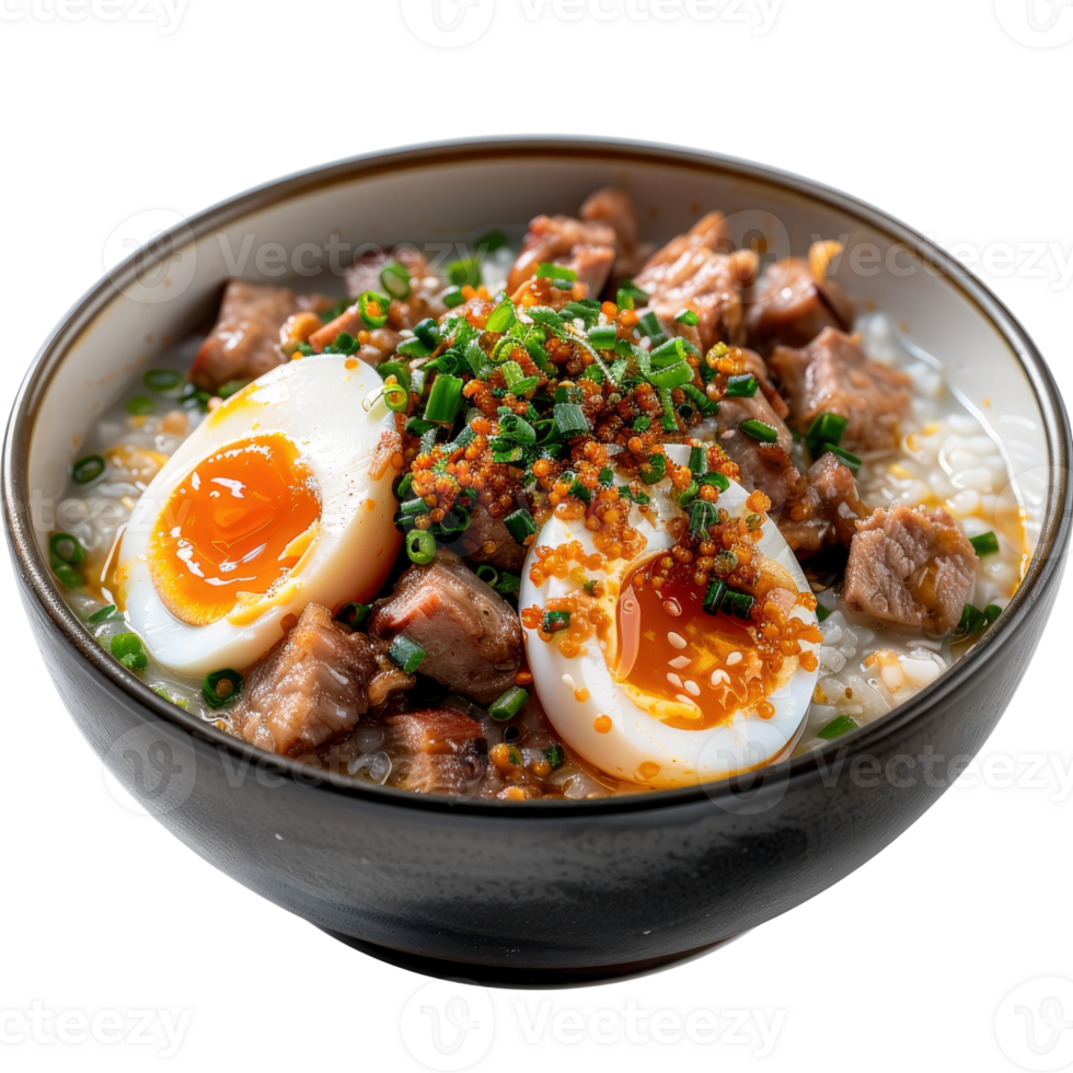 Delicious Bowl of Rice with Tender Meat and Soft Boiled Eggs Garnished with Scallions png