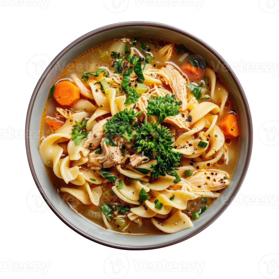Delicious Homemade Chicken Noodle Soup with Fresh Vegetables and Tender Pasta for Comfort Food png