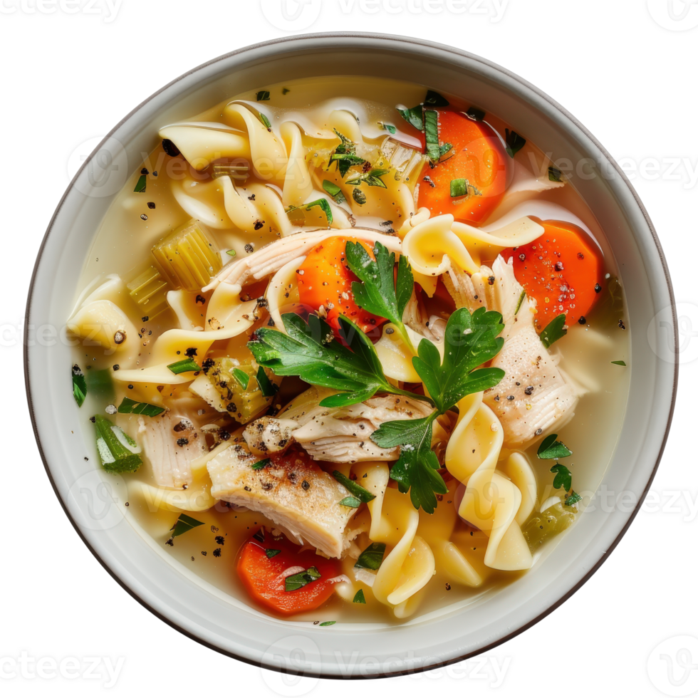 Delicious Homemade Chicken Noodle Soup with Fresh Vegetables and Herbs in a White Bowl png