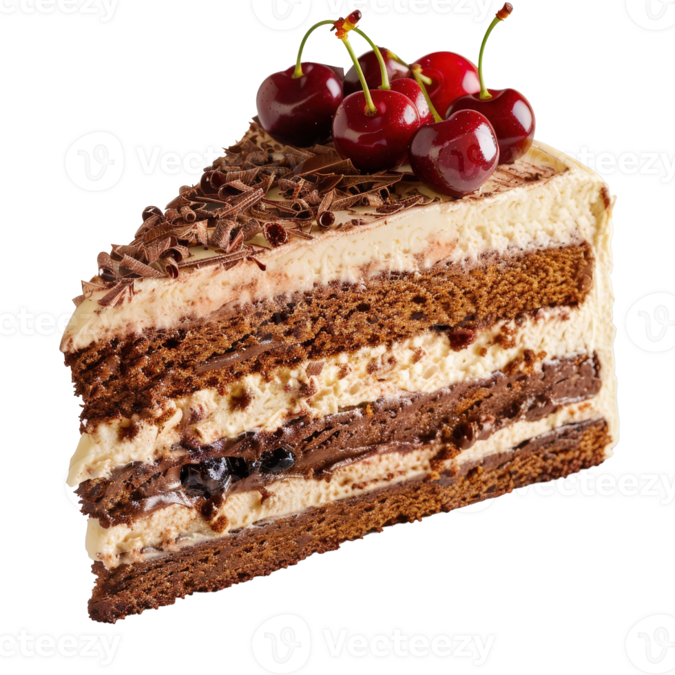 Delicious Chocolate Layer Cake with Cream, Chocolate Shavings, and Fresh Cherry Garnish png
