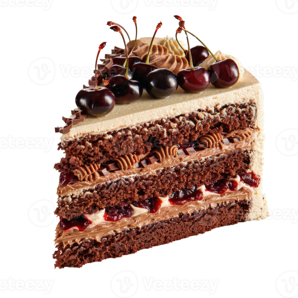 Delicious Chocolate Cake Slice with Cherry Topping and Creamy Frosting Garnish png