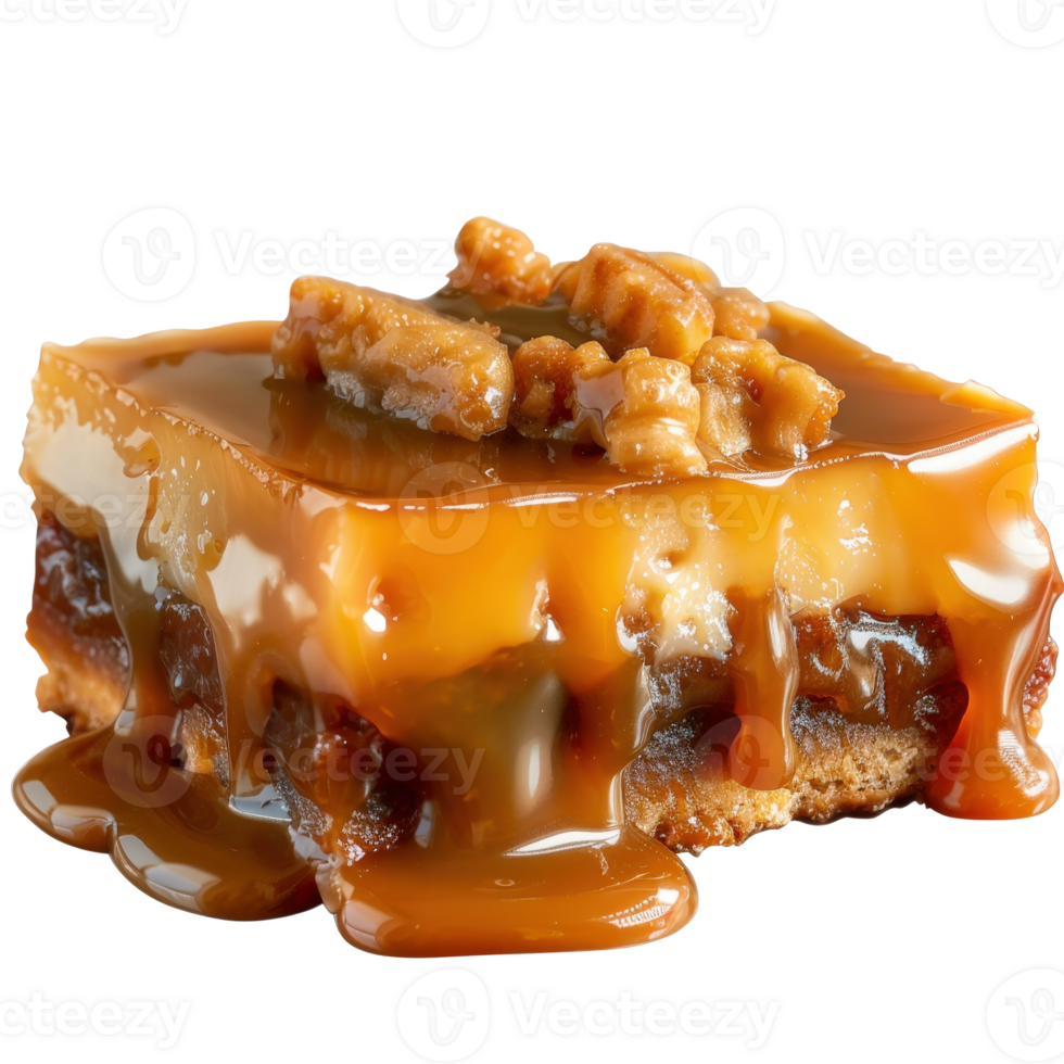 Delicious Caramel Dessert with Nut Topping on Creamy Layered Base in Gourmet Presentation png