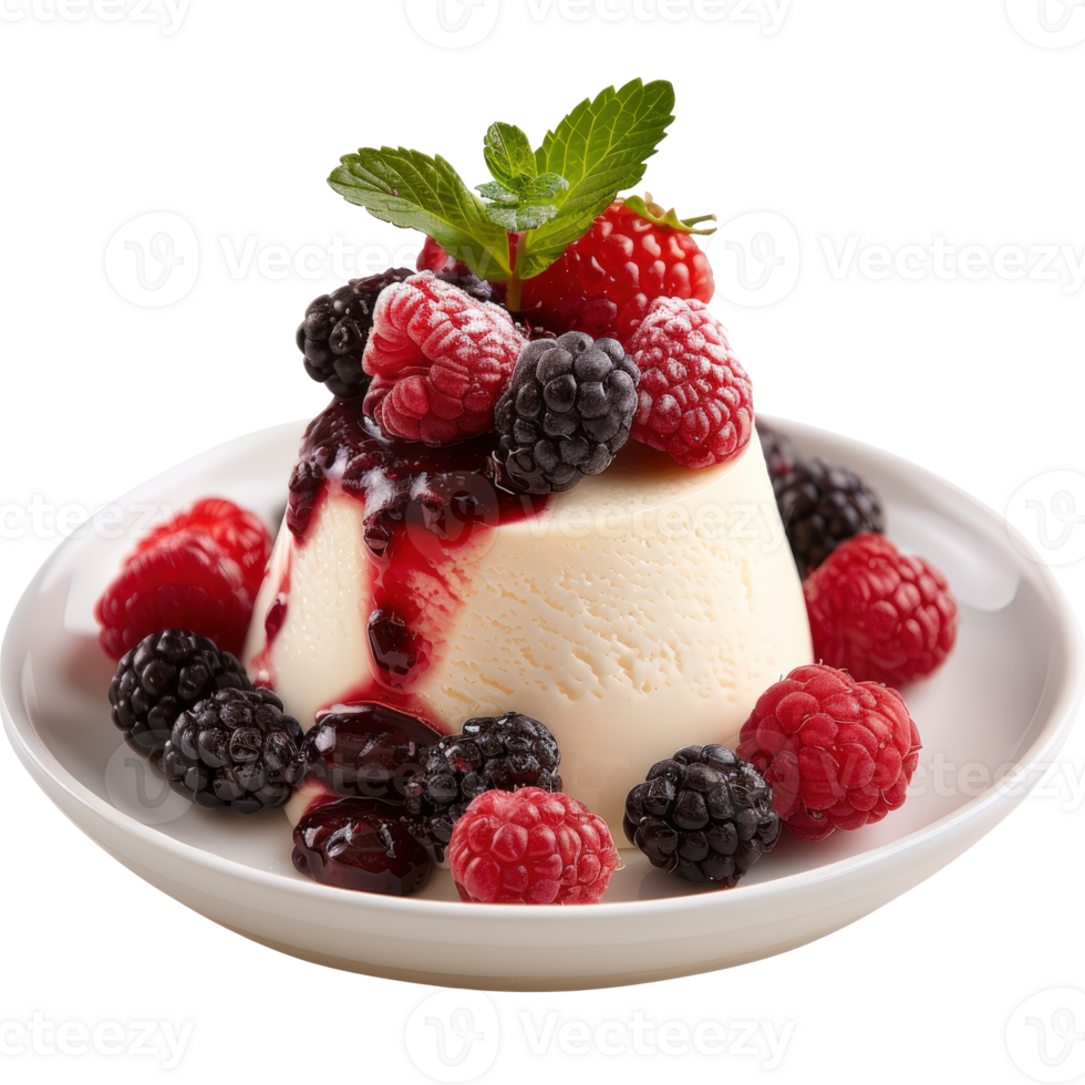 Creamy Vanilla Dessert Topped with Fresh Berries and Raspberry Sauce on a White Plate png