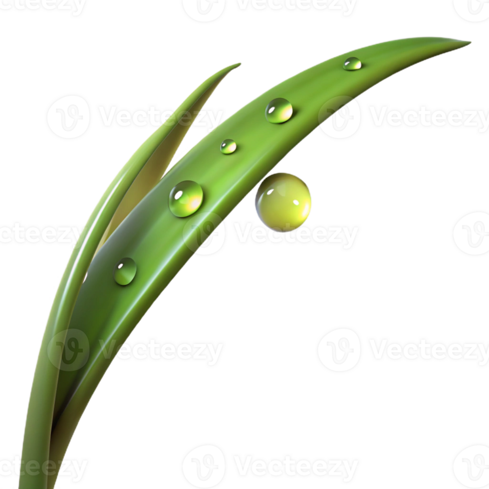 elegant creative A single blade of grass with dew drops, morning sunlight, macro photography style premium png