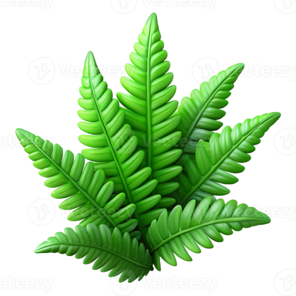extraordinary minimalist A lush green fern, intricate details, dappled sunlight, botanical illustration style original png