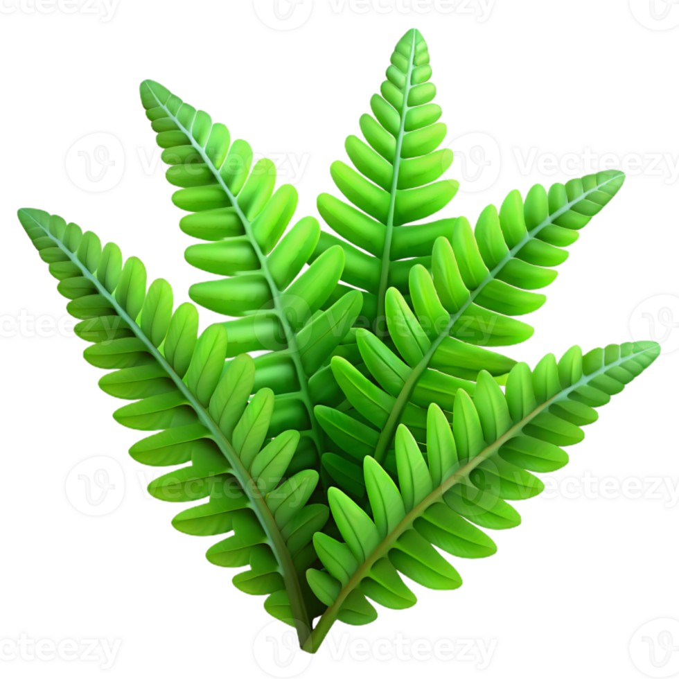 serene modern A lush green fern, intricate details, dappled sunlight, botanical illustration style original png