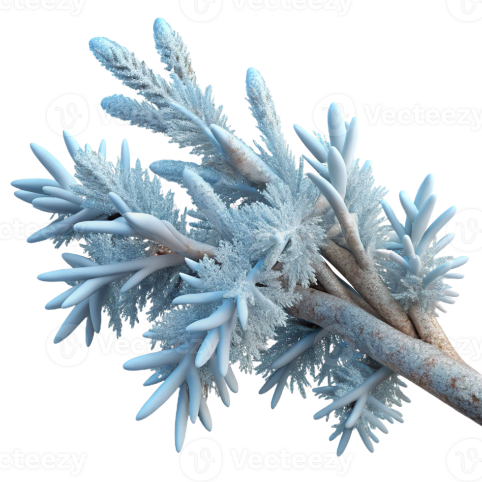 extraordinary classic A branch covered in frost, intricate ice crystals, winter landscape, close-up photography original png