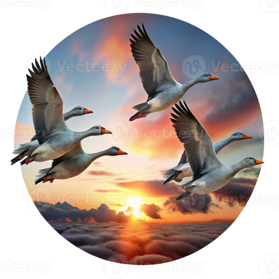 elegant rustic A flock of migrating geese flying in a V formation against a dramatic sunset sky, in a classic, painterly style professional png