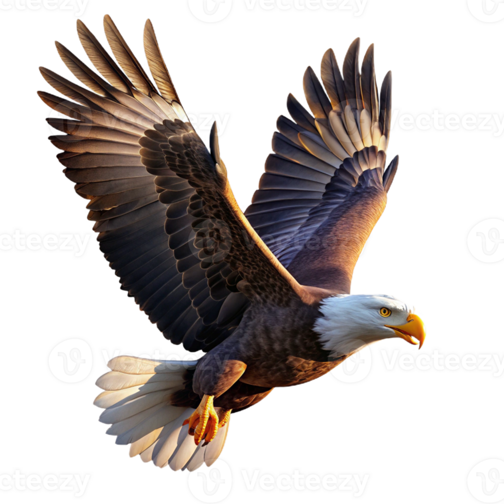 stunning artistic A powerful bald eagle soaring through the sky, illuminated by the bright midday sun, in a realistic wildlife photography style exclusive png
