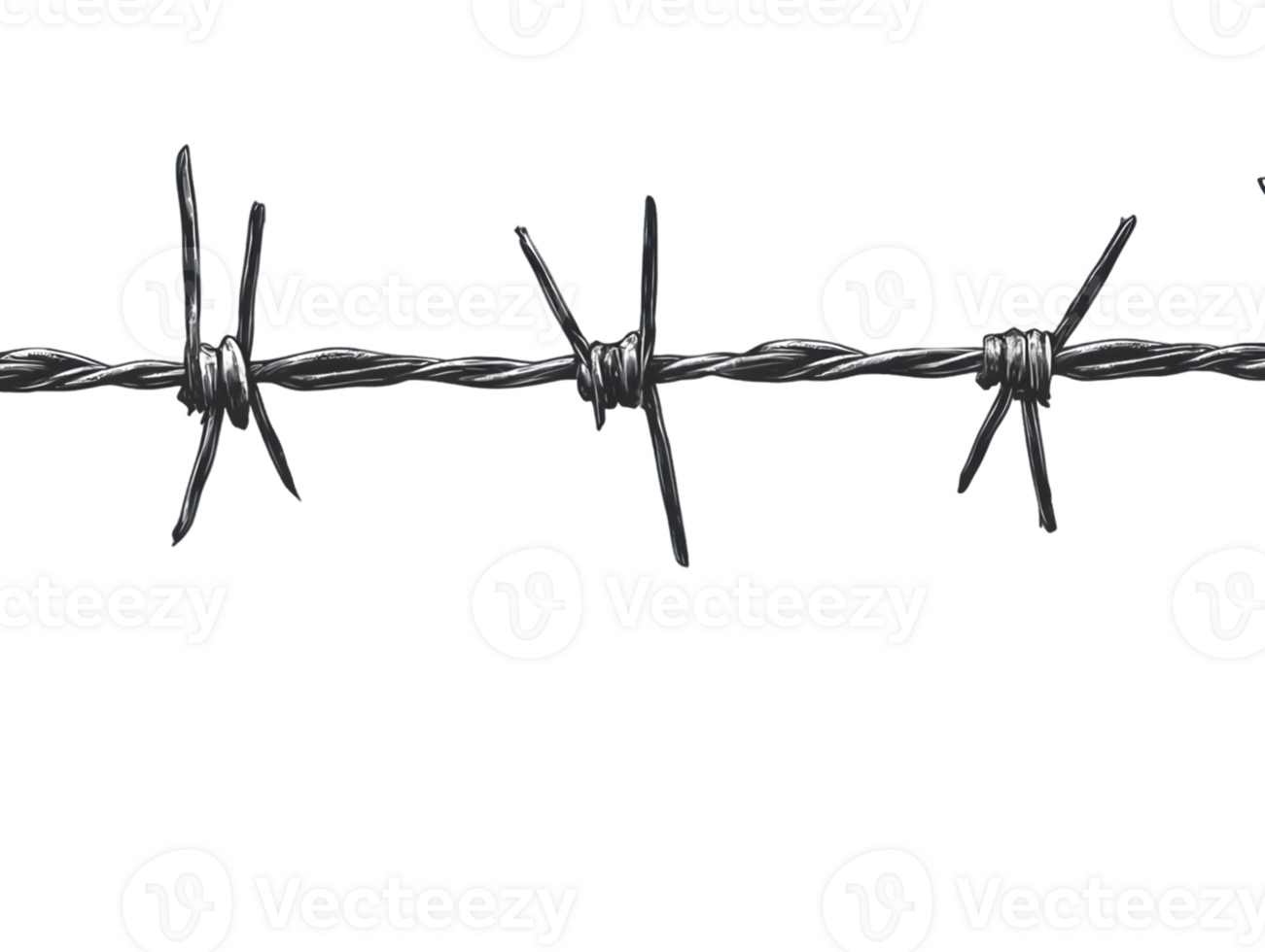 Closeup of Dark Gray Barbed Wire on Transparent Background png