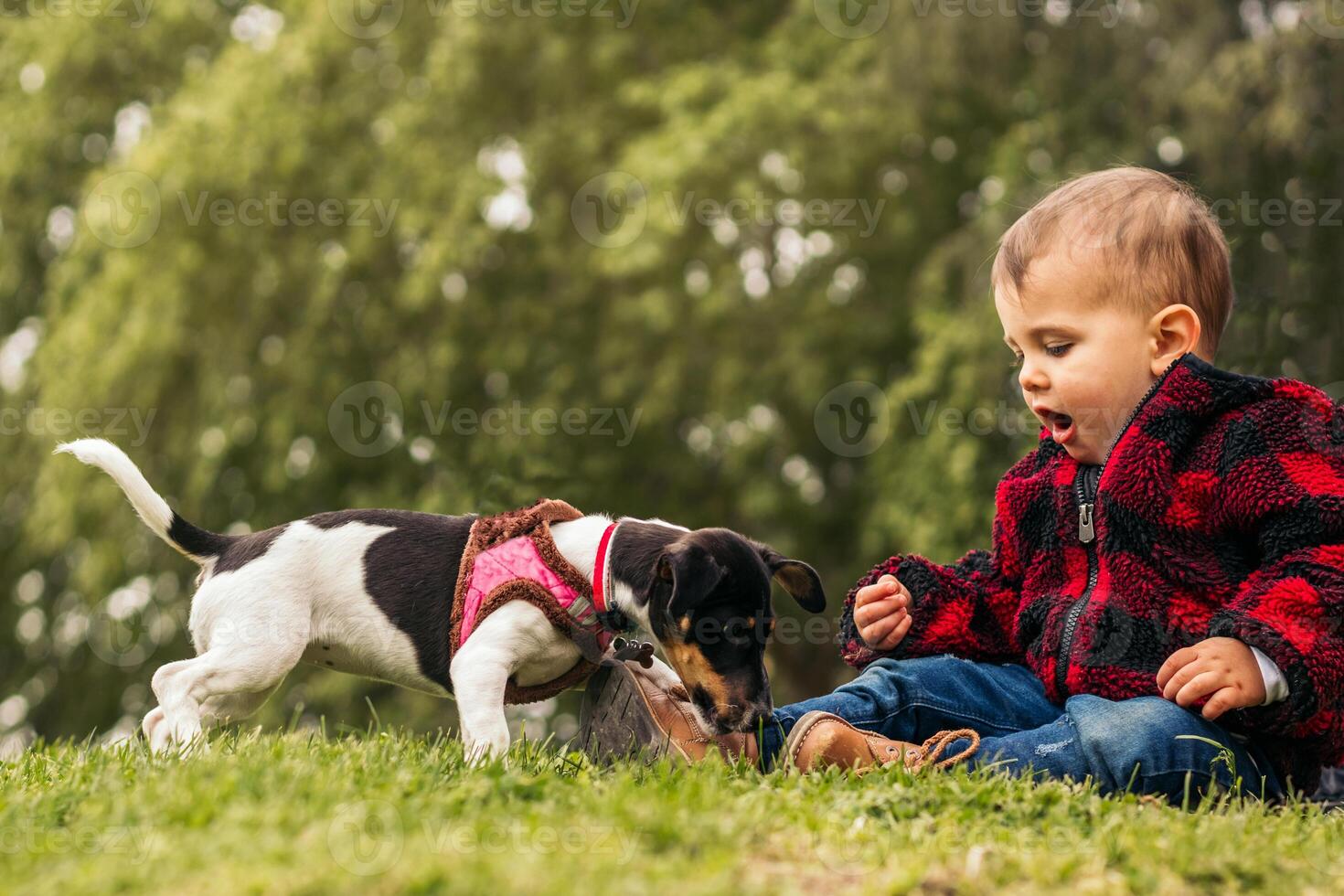 cute baby playing with a dog in a park photo
