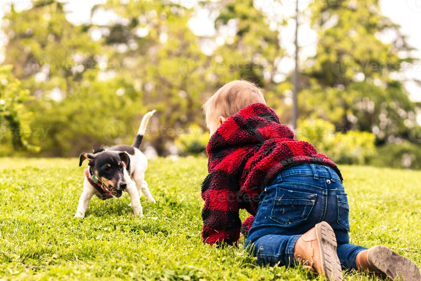 baby boy playing with a little dog in a park photo